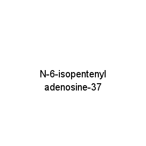 N-6-isopentenyl adenosine-37